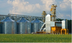 Large silos on farm